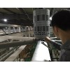 工業(yè)大吊扇，工業(yè)大風(fēng)扇，大風(fēng)扇